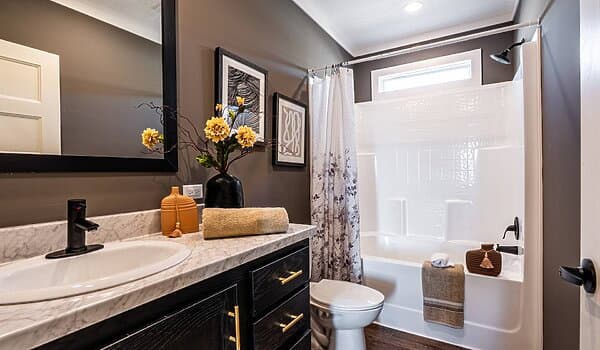 The hangout bathroom home features