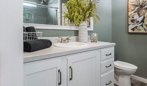 The cahaba bathroom home features